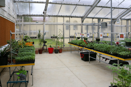 Interior shot of the greenhouse