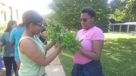 Two students touch the green vegetables they just picked